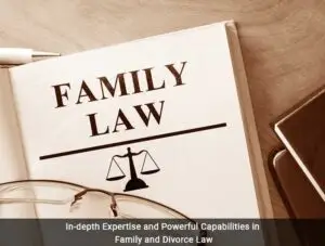 Hire Expert Divorce & Family Lawyers in Delhi 1 BOOK A PROFESSIONAL Law Firm has a team of expert divorce lawyers in Delhi, NCR, specializing in matrimonial and family law cases. We provide legal advice and representation in matters concerning divorce, alimony, maintenance, inheritance, child custody, and guardianship under various personal laws, including:The Hindu Marriage Act, The Special Marriage Act, The Indian Christian Marriage Act, and The Muslim Marriage Laws.