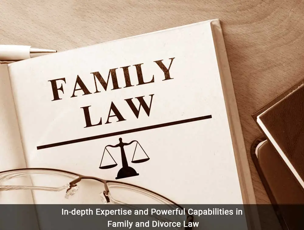 Divorce Alimony & Maintenance Child Custody & Child Support Lawyer in Delhi